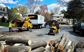 Best Residential Tree Removal  in Melville, RI